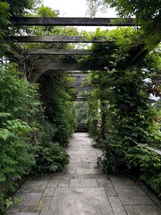 path in the garden