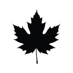 Iconic Canadian Symbol A Black Silhouette of Maple Leaf On A White Background, forest leaves silhouette vector illustration