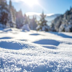 Obraz premium Close-up snow, sun shining, trees blurred in background, winter scene