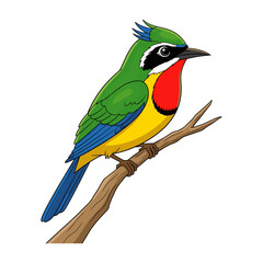 Colorful Tropical Bee-Eater Bird Vector Illustration