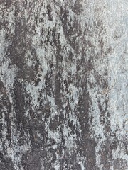 cross-sectional structure of the stone