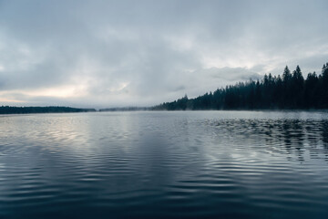 Foggy forest by the lake