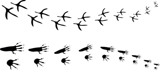 Animal Tracks and Footprints Set – Toad, Mouse, Chicken and Paw Print Paths, Hand Drawn Trail and Nature Track Icons Vector