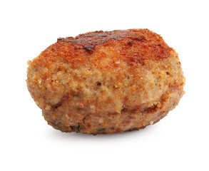One tasty meat patty isolated on white