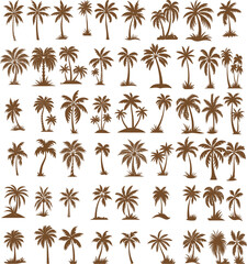 Plam tree vector bundle design