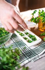 Preparing fresh parsley leaves to freezing for winter.