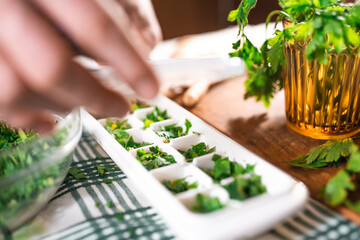 Preparing fresh parsley leaves to freezing for winter.