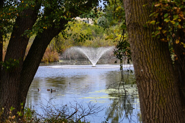 fountain in the park