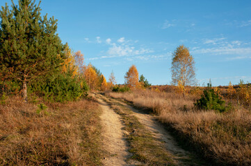 Naklejka premium the mountain autumn landscape with colorful forest