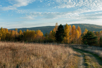 the mountain autumn landscape with colorful forest