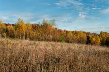 Fototapeta premium the mountain autumn landscape with colorful forest
