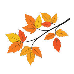A branch with colorful autumn leaves in shades of yellow, orange, and red, isolated on a white background.