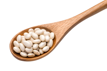 bright white beans isolated on transparent white background full depth of field clipping path