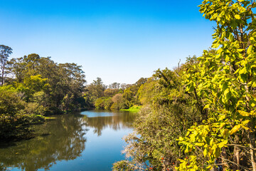 Fototapeta premium Lago e natureza exuberante em dia ensolarado