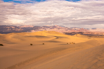 Naklejka premium Mesquite Sand Dunes on cloudy day, Death Valley National Park, California