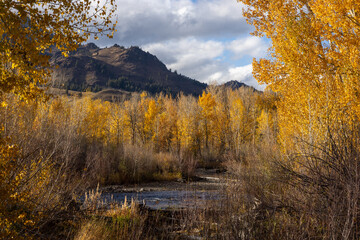 mountains behind the treeline during the fall season as the autumn colors take full effect in sun valley idaho near ketchum 
