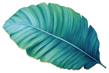 PNG Plam leaf plant white background lightweight.