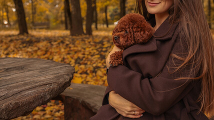 Woman holding a cute toy poodle in a coat during an autumn walk in the park