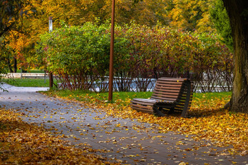 A long, tree-lined promenade in an urban park is carpeted with colorful fall leaves