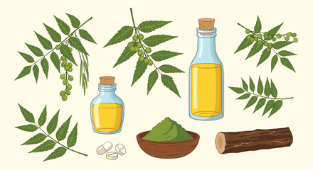 Collection of neem leaves, oil, powder, pills, and bark for natural remedies and skincare.