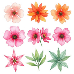 Fototapeta premium Vibrant watercolor flowers collection delicate blooms and greenery elements for artistic designs isolated on transparent background