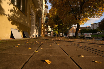 city ​​street autumn yellow leaves of trees