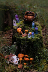colorful crystals, witch copper cauldron, animal skull and mushrooms in forest, nature background....