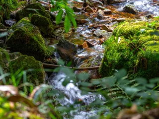 Fototapeten Grün Asturian Landscapes  © Rolf