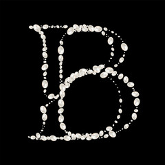 Capital Letters B of English alphabet. luxury and elegant font glamour french style