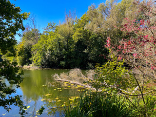 Romantische stimmung am Oberwaldsee in Karlsruhe