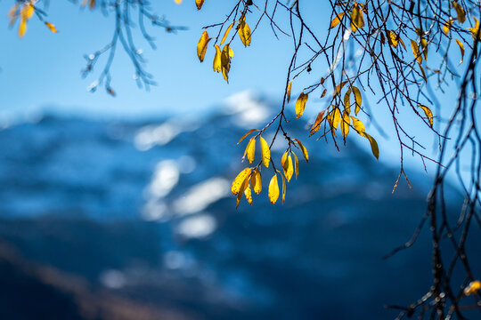 Herbst im Engadin in Graub&uuml;nden in der Schweiz
