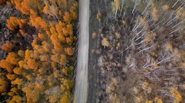 Dixie National Forest Autumn