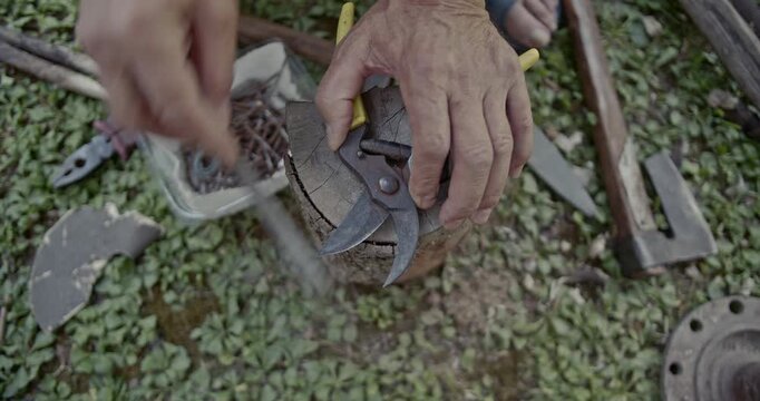 A detailed close-up shot captures hands meticulously sharpening pruning shears with a metal file on a wooden block outdoors. The video includes authentic sounds of the sharpening process.