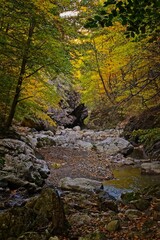 Riverbed with Rocks in Autumn Forest