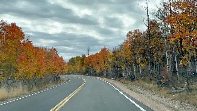 Dixie National Forest Autumn Colors