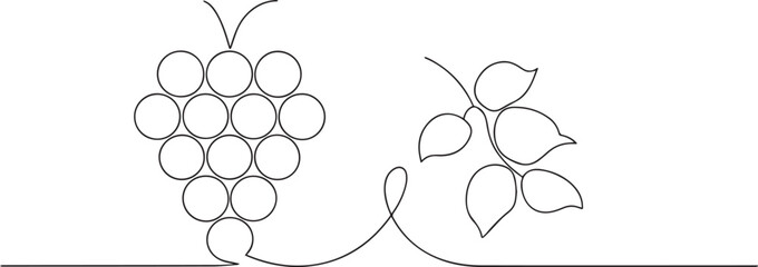 Grape fruit with leaf one continuous line art, Vector illustration, One line art, Line art graphic style