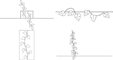 A group of Ivy plant climbing one continuous line art, Vector illustration, One line art, Line art graphic style