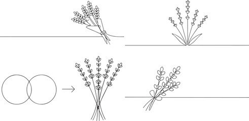 A group of Lavender bouquet plant bunch one continuous line art, Vector illustration, One line art, Line art graphic style © 99 vector art