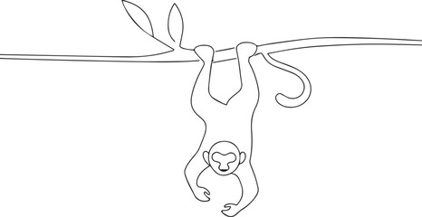 Monkey hanging one continuous line art, Vector illustration, One line art, Line art graphic style © 99 vector art
