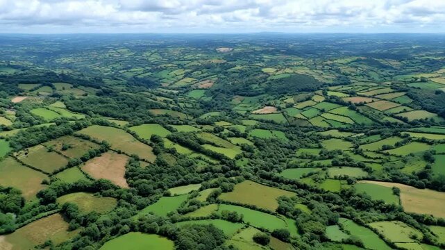 Medium shot of rural farmland with hedgerows and buffer zones acting as wildlife corridors facilitating connectivity between isolated natural habitats.