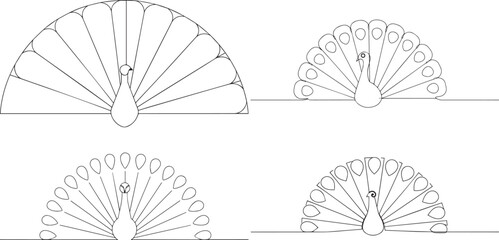 A group of Peacock spreading one continuous line art, Vector illustration, One line art, Line art graphic style