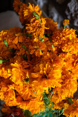 Bright orange marigold (Tagetes) flowers rest on a smooth, grey background. The vibrant petals contrast with the neutral surface, highlighting the flower's texture and form. One flower is prominently 