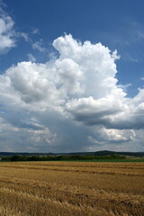 Obraz premium Felder in der Wetterau