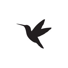 Fototapeta premium Hummingbird sheet silhouette vector with white background