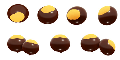 3D vector set of glossy chestnuts, isolated. The conkers are rendered in various perspectives. Perfect for autumn, nature, harvest, and seasonal designs. 