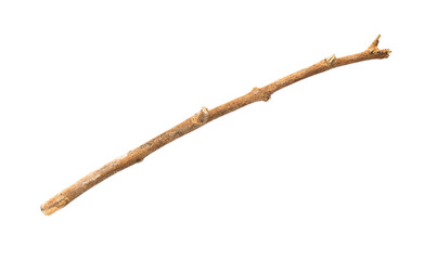 Tree branch or stick isolated on a transparent background, Rustic wood branch, Tree stick isolated on white background.