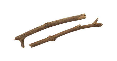 Tree branch or stick isolated on a transparent background, Rustic wood branch, Tree stick isolated on white background.