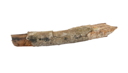 Tree branch or stick isolated on a transparent background, Rustic wood branch, Tree stick isolated on white background.