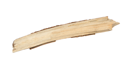 old wooden stick with cracks isolated on a white background, Tree stick isolated on transparent background.