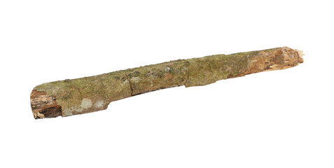 Tree branch or stick isolated on a transparent background, Rustic wood branch, Tree stick isolated on white background.